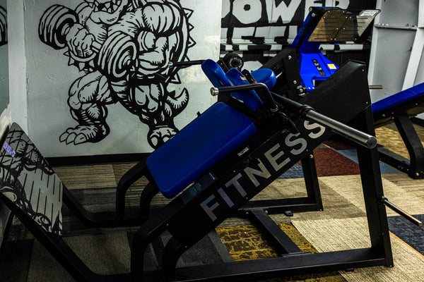 Mural behind blue machine in strength room