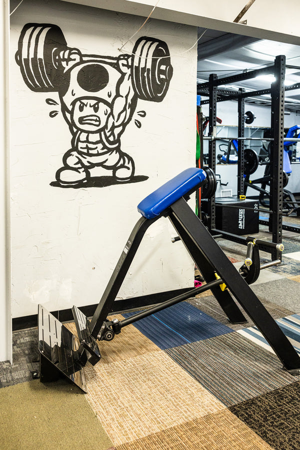 Wall mural of cartoon-style toad lifter artwork